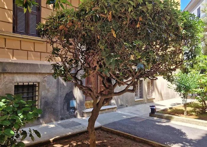 Borghese Magnolia